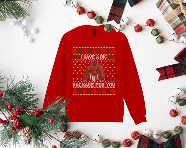 Big Package  | Sweatshirt